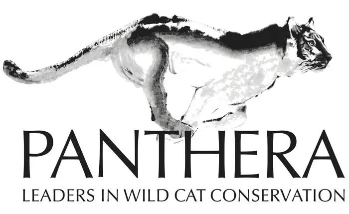 PantheraLogoe